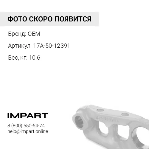 17A-50-12391 палец балансира OEM