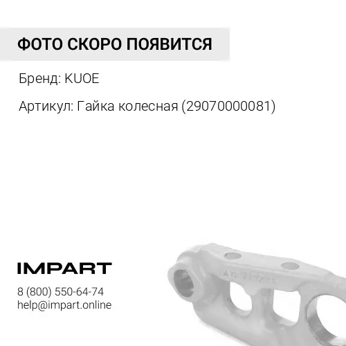 Гайка колесная 29070000081