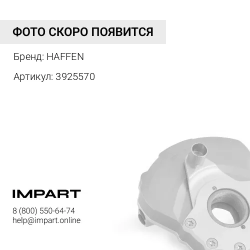 3925570 Гаситель крутильных колебаний QSL 3925570 HAFFEN
