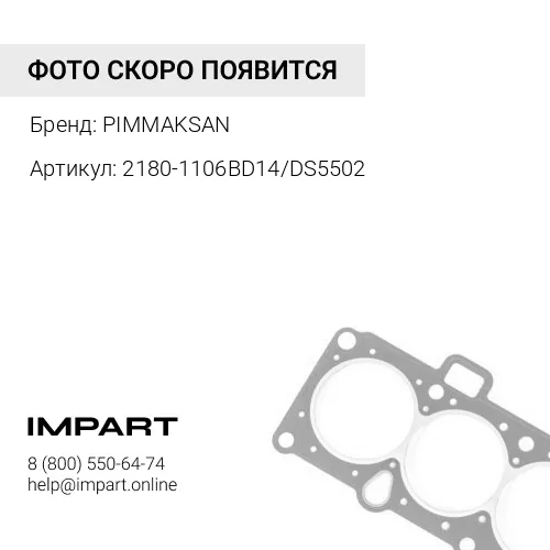 2180-1106BD14/DS5502 Сальник PIMMAKSAN