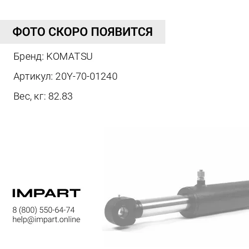 20Y-70-01240 ЦЕПЬ В СБОРЕ