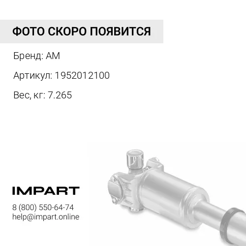 1952012100 Крестовина