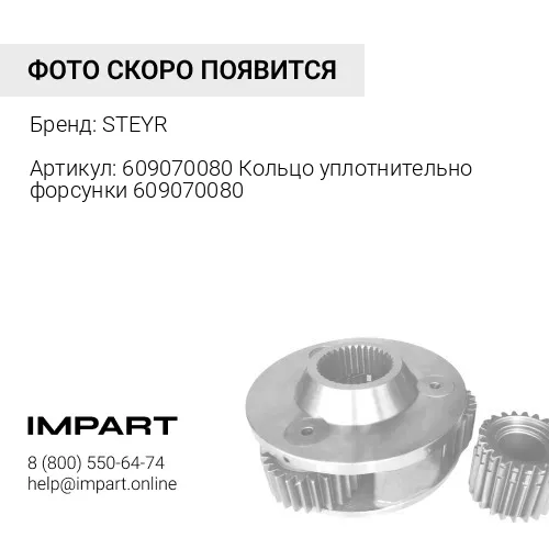 609070080 Кольцо уплотнительно форсунки 609070080 STEYR