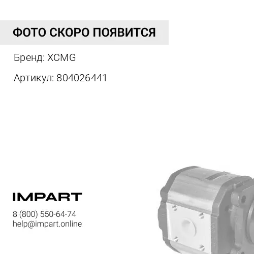 804026441 Насос шестеренчатый XCMG