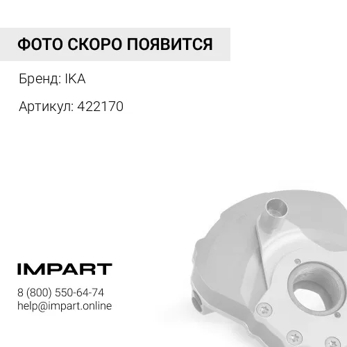 422170 Резинка дифференциала (демпфер)