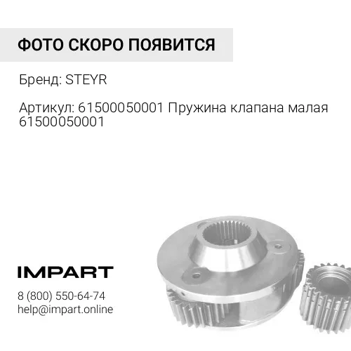 61500050001 Пружина клапана малая 61500050001 STEYR
