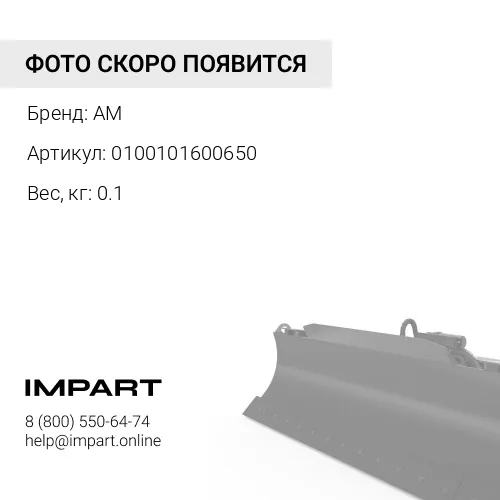 0100101600650 Болт