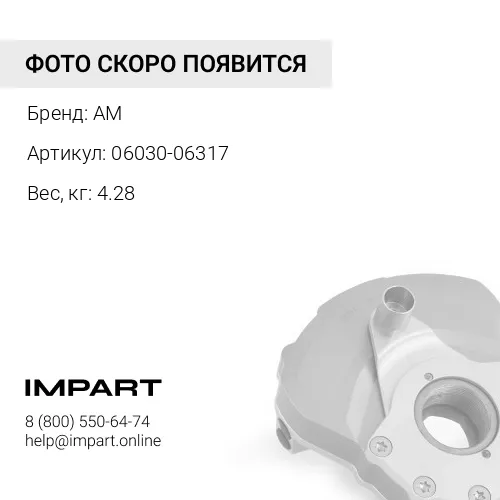 06030-06317 Подшипник AM