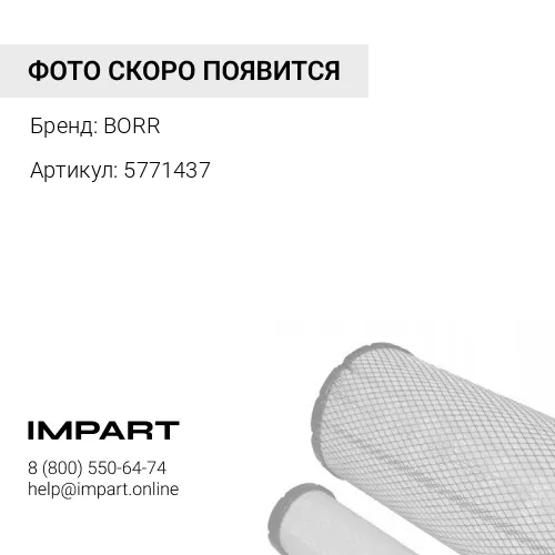 BR5771437 Фильтр BORR