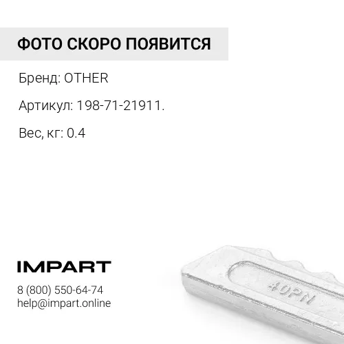 198-71-21911. ГАЙКА OTHER