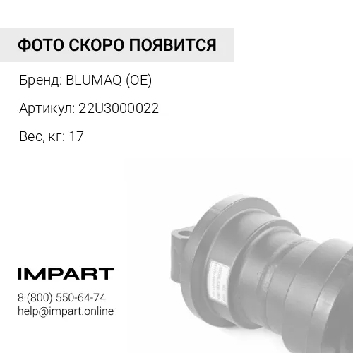 22U3000022 РОЛИК В СБОРЕ