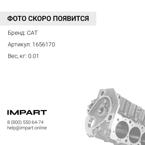 1656170 Заглушка