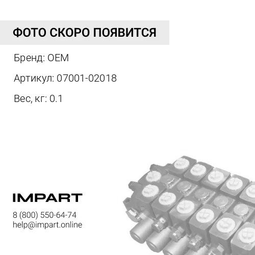 07001-02018 Кольцо OEM