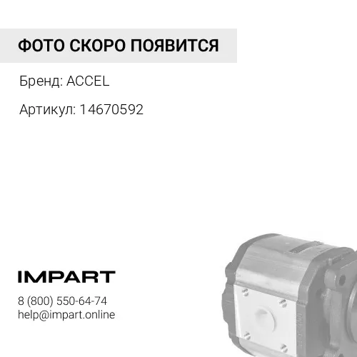 14670592 Насос шестеренчатый ACCEL