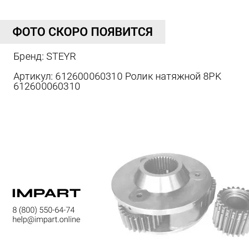 612600060310 Ролик натяжной 8PK 612600060310 STEYR