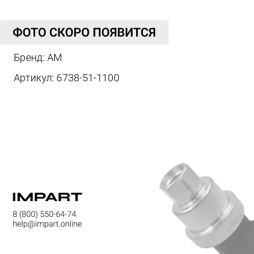 6738-51-1100 Насос маслянный AM