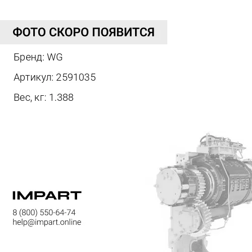 2591035 Набор прокладок КПП WG