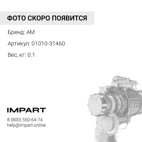 01010-31460 01010-61460 БОЛТ AM