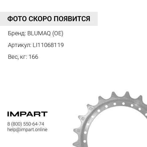 LI11068119 ЗВЁЗДОЧКА