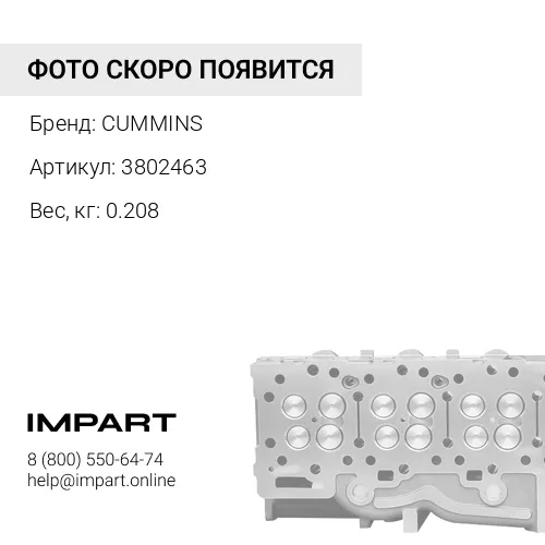 3802463 клапан