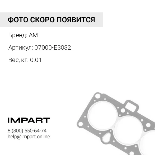07000-E3032 КОЛЬЦО 07000-F3032 AM
