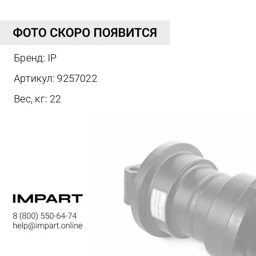 9257022 Каток поддерживающий IP