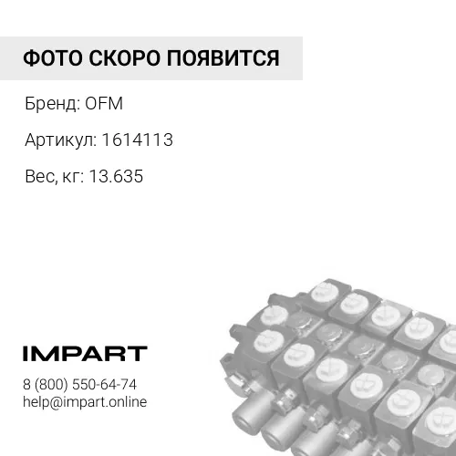 1614113 Маслянный насос OFM