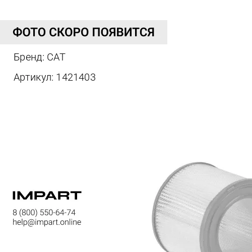 1421403 ELEMENT AS