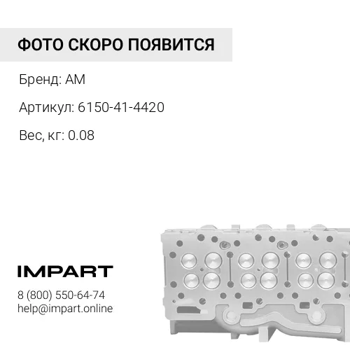 6150-41-4420 Пружина клапана впуск. AM