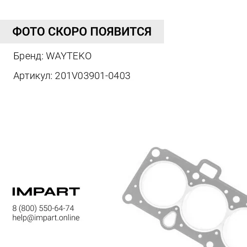 201V03901-0403 Прокладка ГБЦ MC11 WAYTEKO PREMIUM