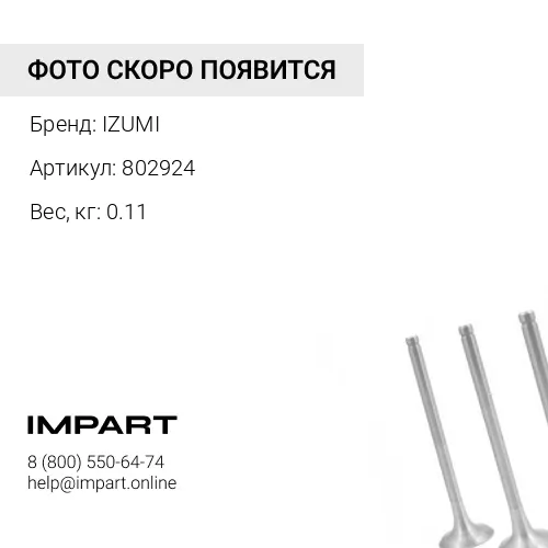 802924 Клапан впускной 6D107E-1 802924 IZUMI