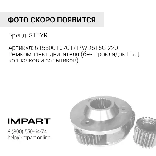 61560010701/1/WD615G220 Ремкомплект двигателя (без прокладок ГБЦ колпачков и сальников) STEYR