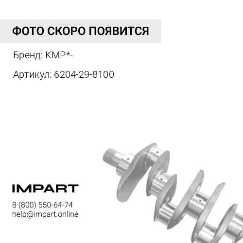 6204-29-8100 Вкладыш коренной 0,25 6204-29-8100 KMP*-