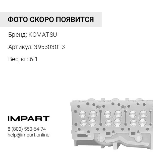 395303013 ГОЛОВКА ЦИЛИНДРА