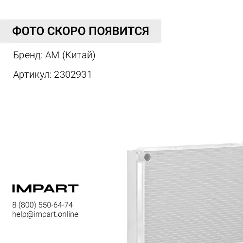 2302931 патрубок AM (Китай)