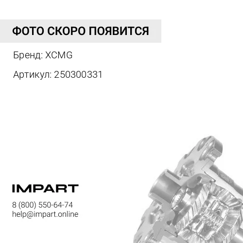 250300331 Дифференциал 82030502/75200107/7200000119/250300331 XCMG