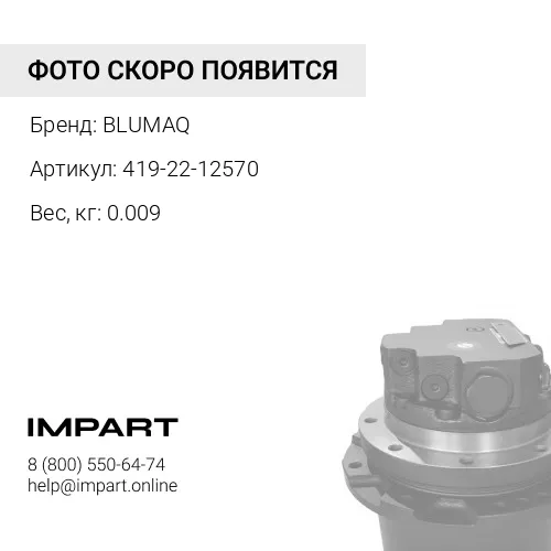 419-22-12570 Палец BLUMAQ