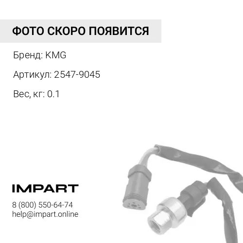 2547-9045 Датчик KMG