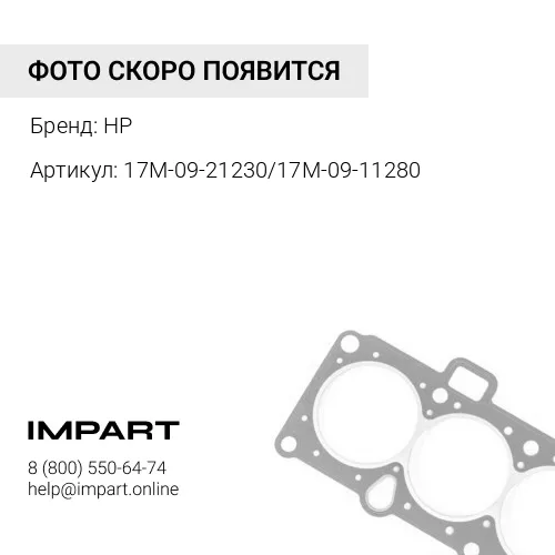 17М-09-21230/17M-09-11280 Сальник HP
