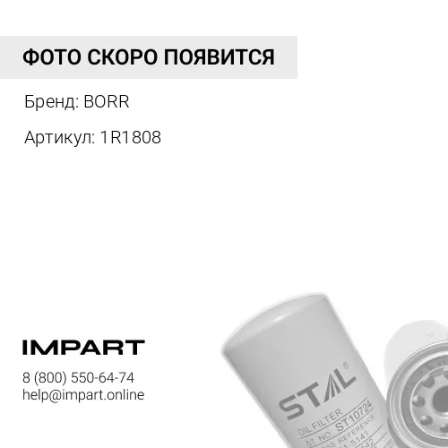 1R1808 Фильтр масляный BORR