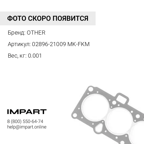 02896-21009 MK-FKM УПЛОТНИТЕЛЬНОЕ КОЛЬЦО OTHER
