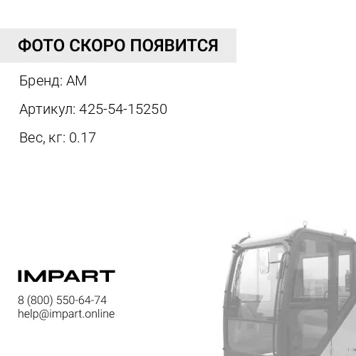 425-54-15250 дворник AM