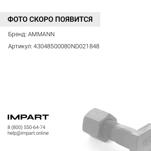 43048500080ND021848 Гайка AMMANN