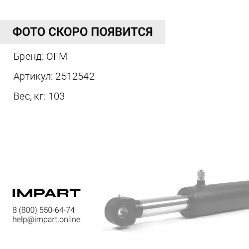 2512542 палец OFM