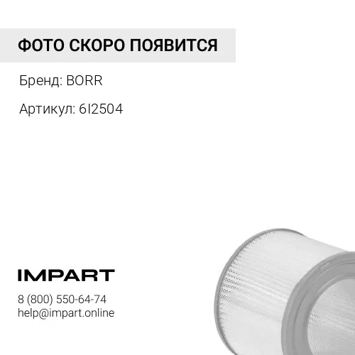 BR6I2504 Фильтр воздушный двиг. BORR