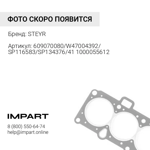 609070080/W47004392/SP116583/SP134376/411000055612 Кольцо форсунки STEYR