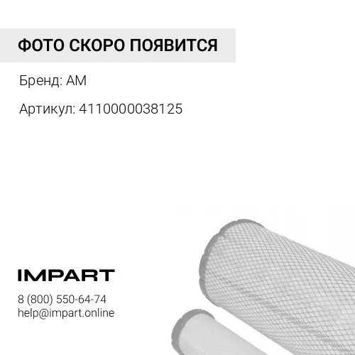 4110000038125 Фильтр трансмиссии