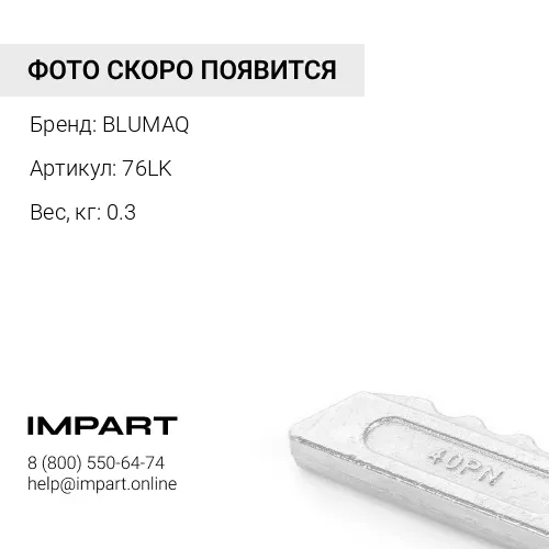 76LK Шайба