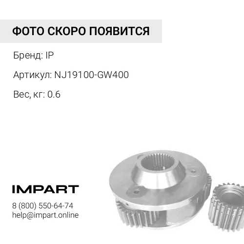 NJ19100-GW400 РЕГУЛЯТОР В СБОРЕ IP