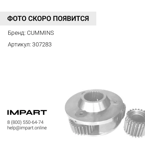 307283 Кольцо уплотнительное Cummins, шт